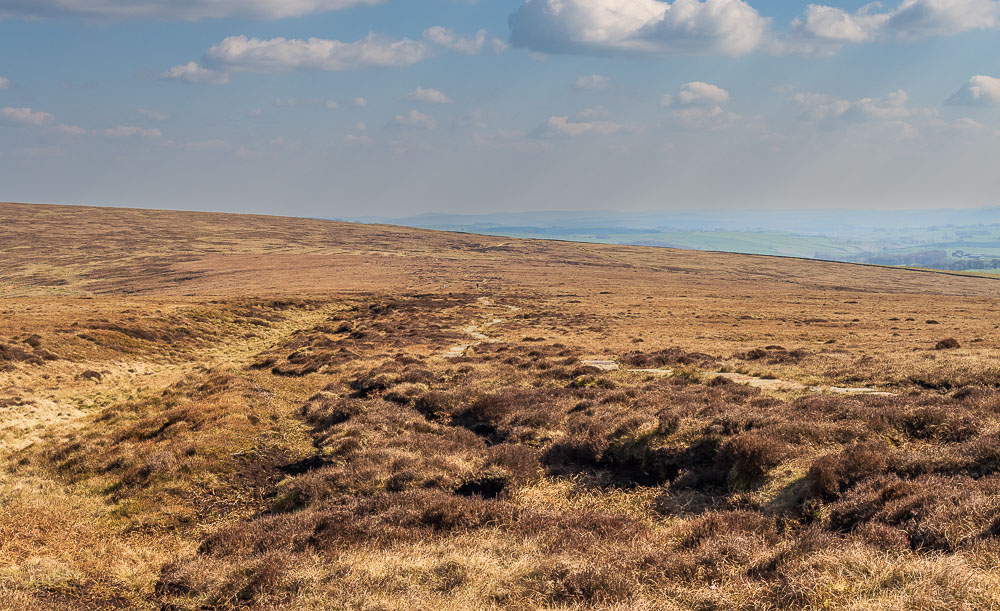 Brown Knoll Brown Knoll
